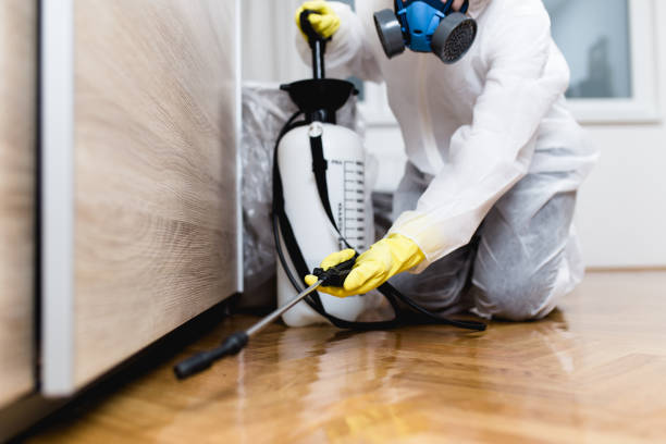 Best Pest Removal Services  in Hampton, IL