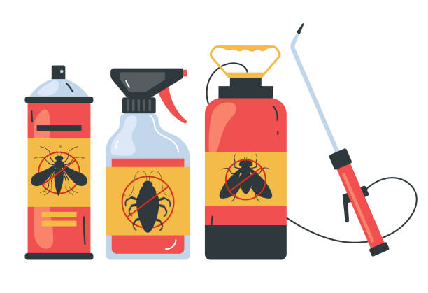 Best Affordable Pest Control Services  in Hampton, IL